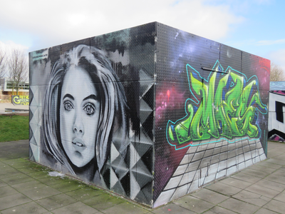 833348 Afbeelding van twee graffitikunstwerken op het materiaalhuisje bij de skatebaan in het Griftpark te Utrecht.